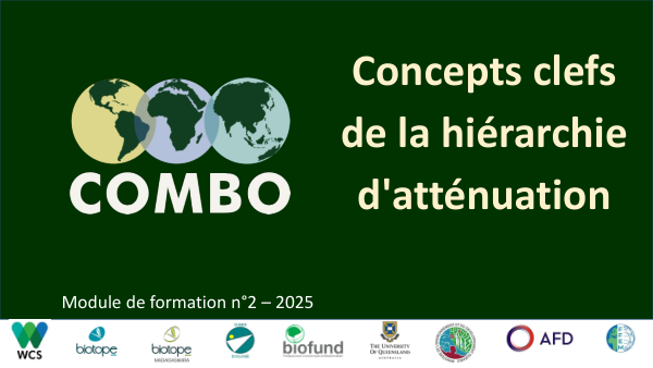 Module de formation 2 - Concepts Hiérarchie Atténuation